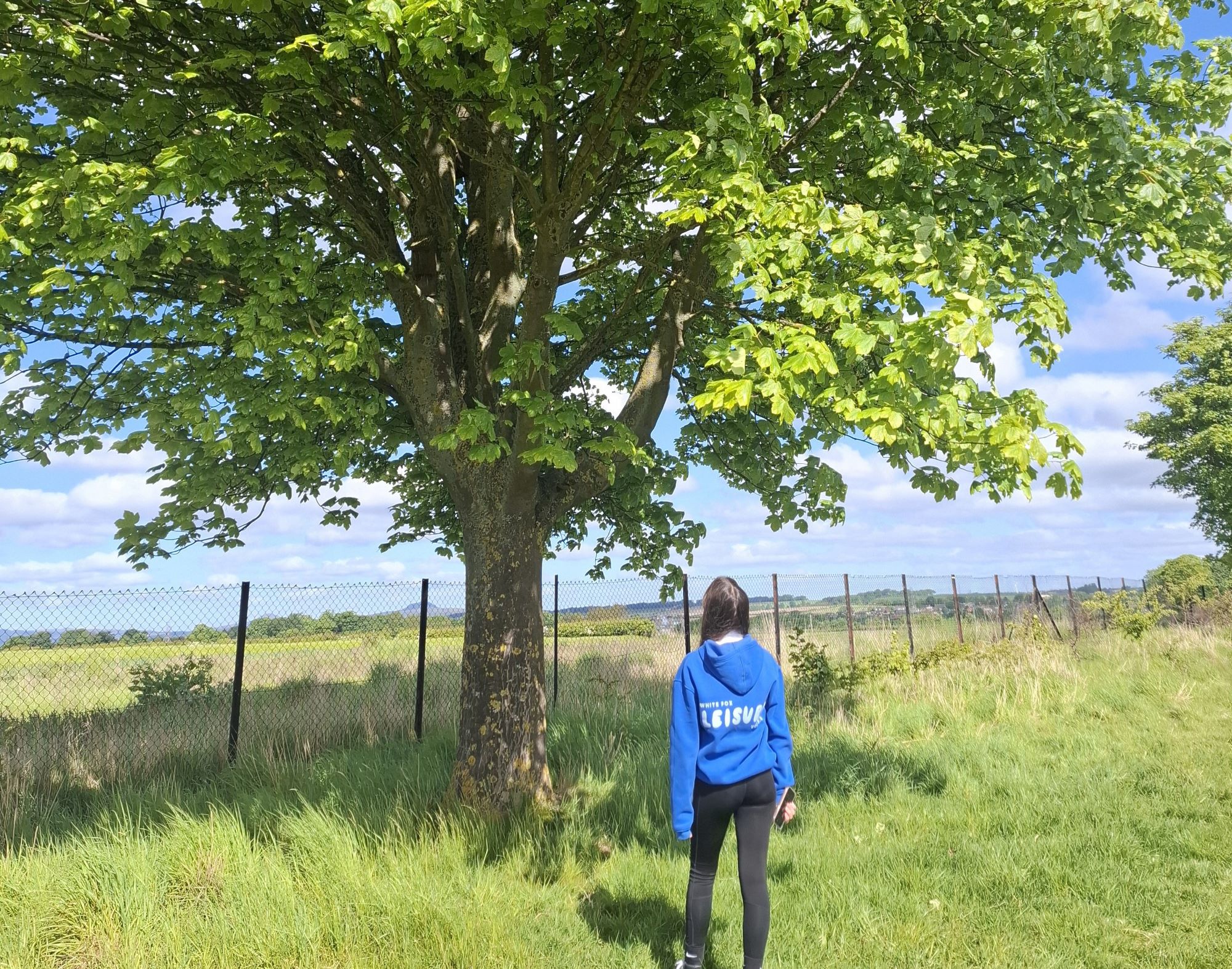 Tree Health and Citizen Science Session