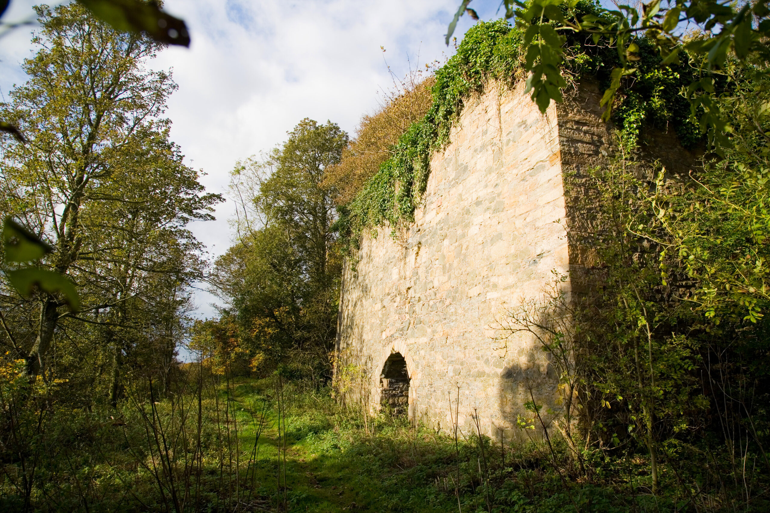 Craighall Den Woodland Wander