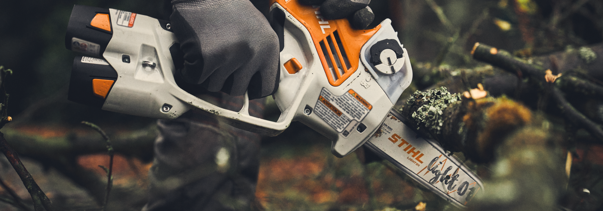 118665_GTA40-CAMPAIGN-TREECARE_HQ_P_2024-01_0012_Global-EU-usableRoW