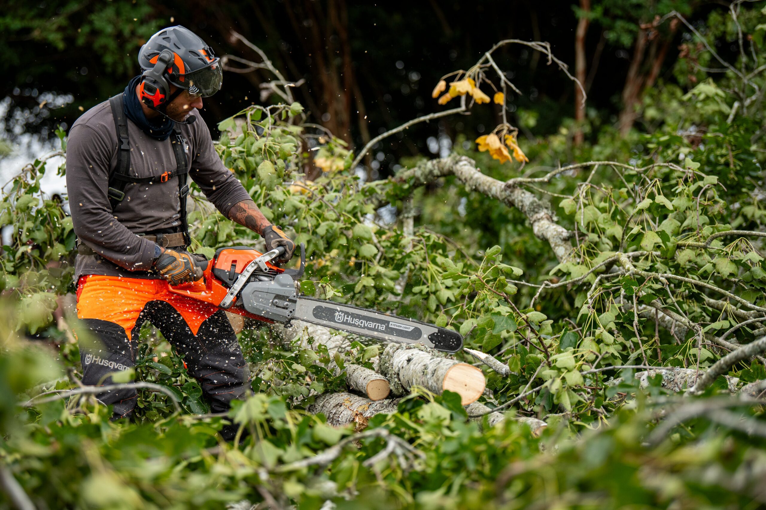 564 XP in use 2 564 XP in use 2