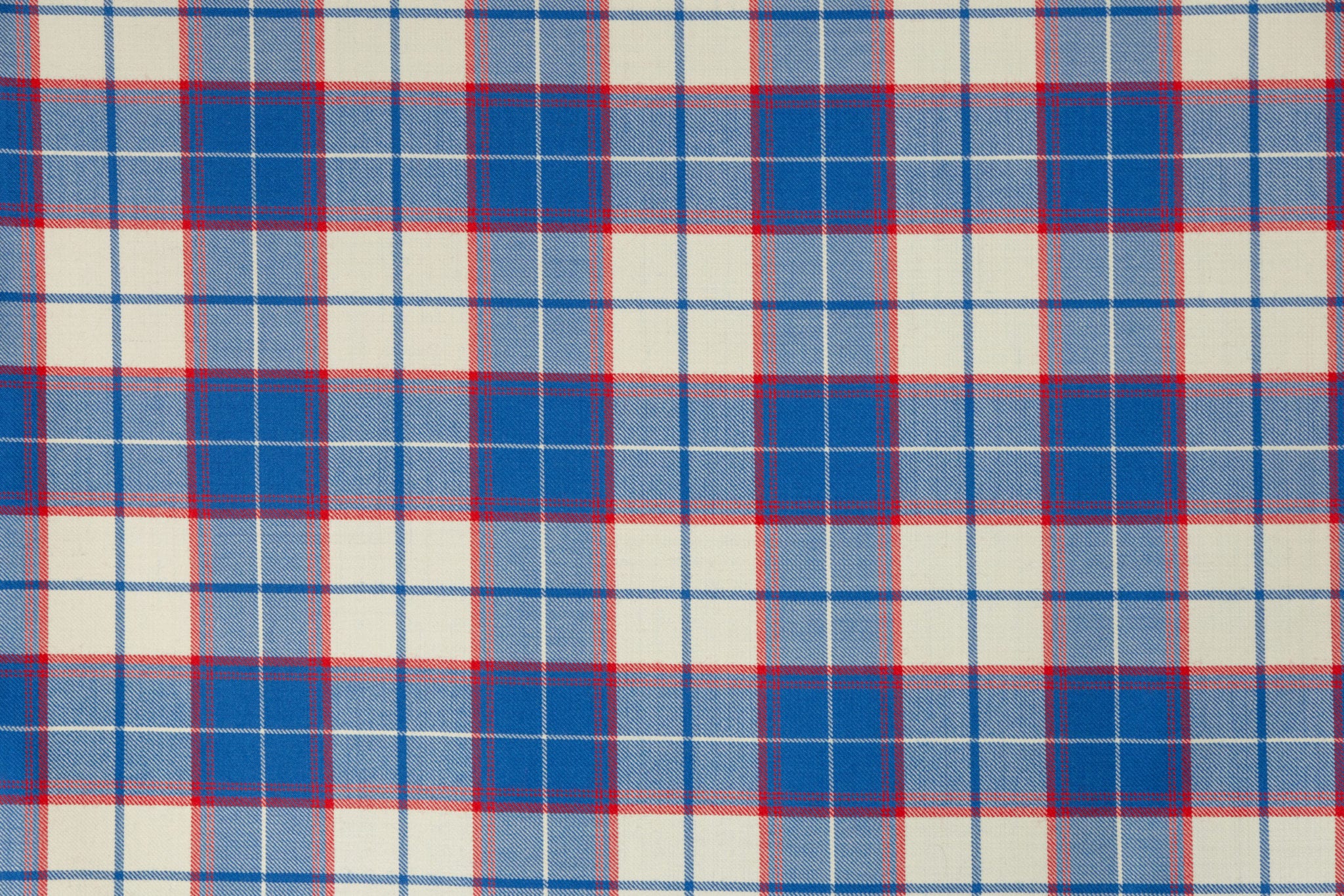 Canna Sapphire BCH057. 2