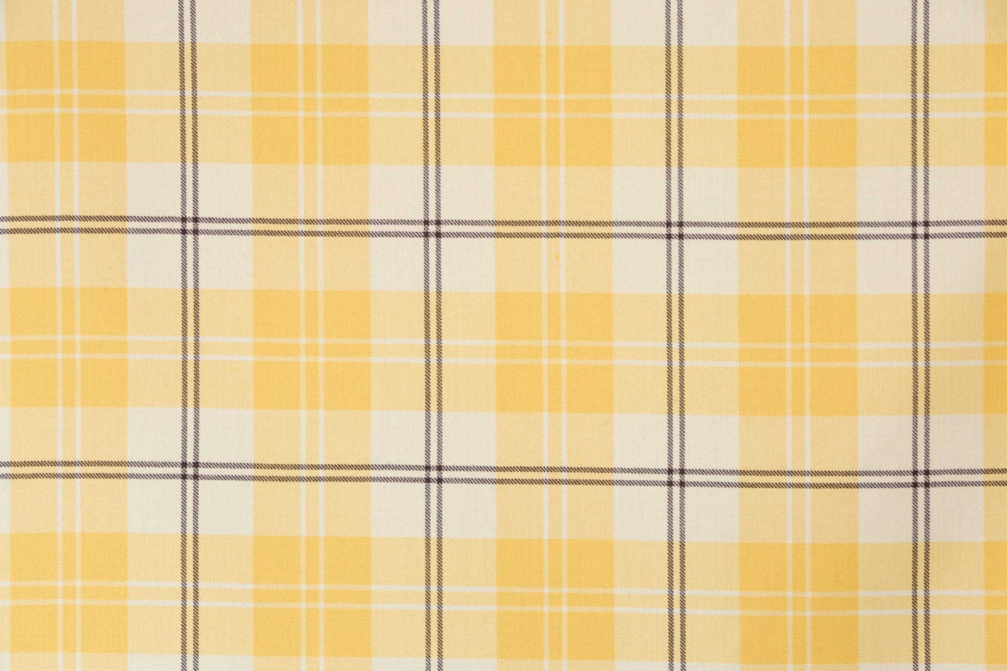 Ailsa Yellow BCH055. 2