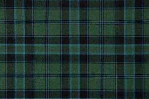 Fort William, Muted 368_513. 3