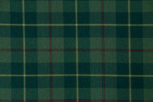 Galloway, Green Muted 368_510. 3