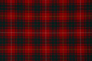 Bruce (Modern) 368_2025. 3