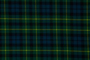 Campbell of Breadalbane (Ancient) 368_2044. 3