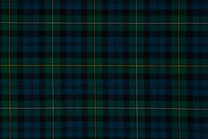 Campbell of Loudoun (Ancient) 368_2045. 3