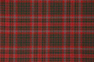 MacIntosh (Ancient), Artifact 368_2232. 3