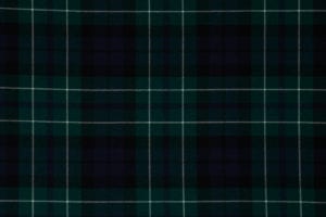 MacNeil of Colonsay (Modern) 368_2276. 3