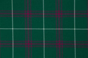 Welsh National (Ancient) 368_2416. 3