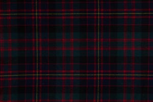 Cameron of Erracht - Highland No 4 479_RW101. 2