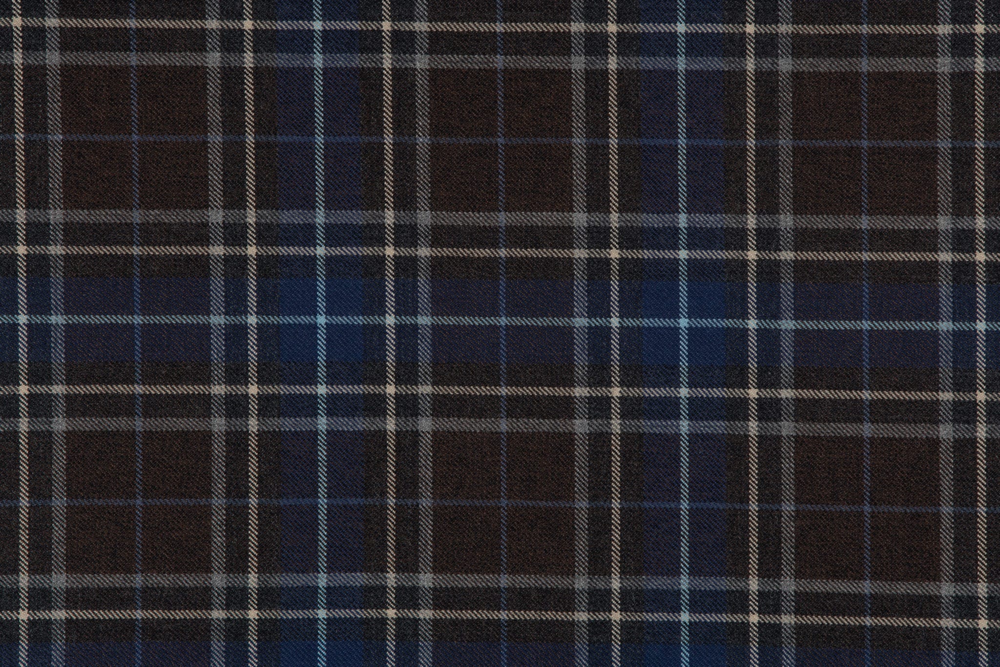 Fasanta Alba  MWS3133_TI. 3
