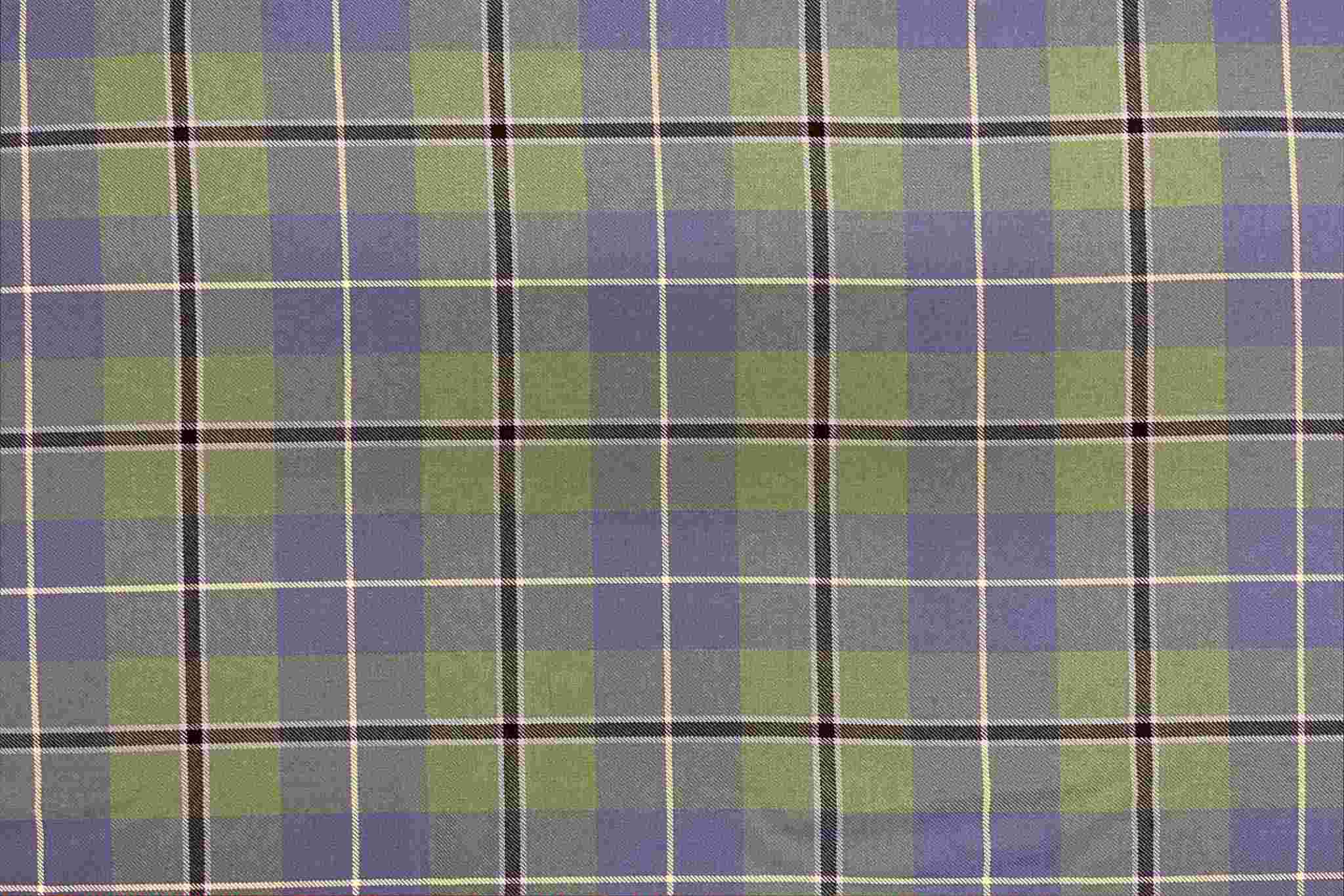 he-tartan-web-photo
