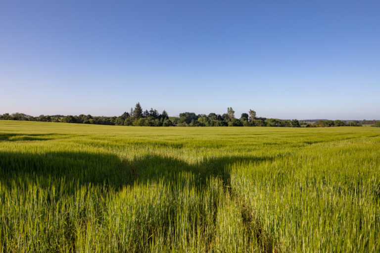 Sites for Sale Greendams Steading Development Site, Drumoak Leys Estate
