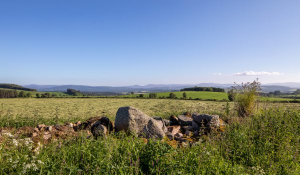 Uninterrupted views across the countryside from Pitcullen