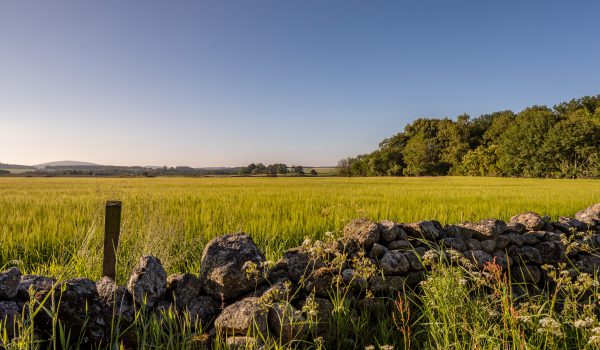 Uninterrupted views across Deeside