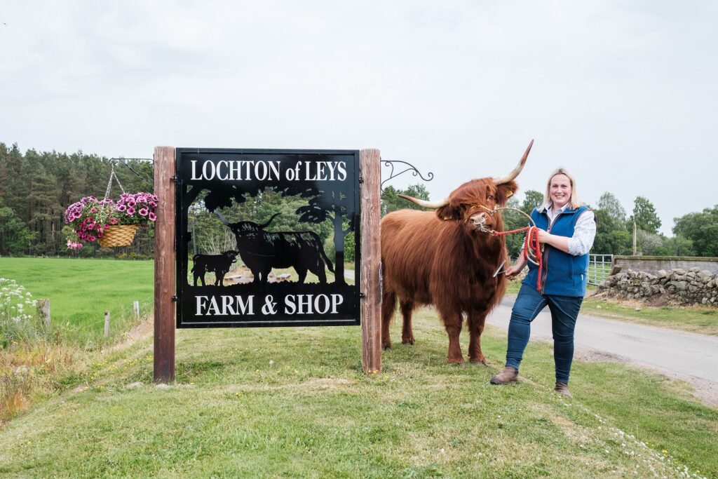 Aberdeenshire Highland Beef on Leys Estate