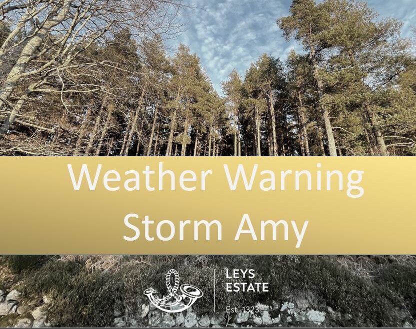 Storm Amy