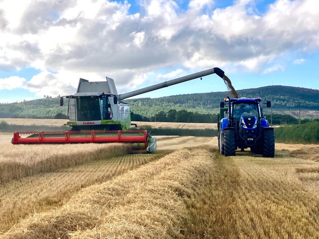 Summer Harvest on Leys Estate