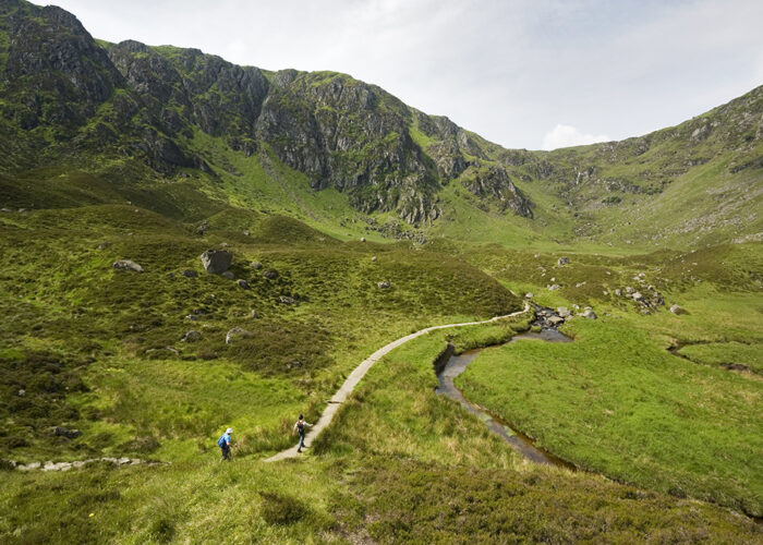 Corrie Fee