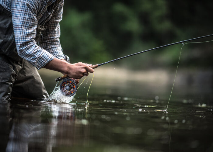 FLYFISHNING
