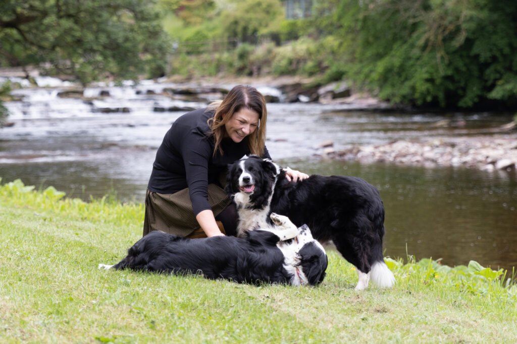 Dog friendly lodge holidays at Ruthven Falls, Scotland