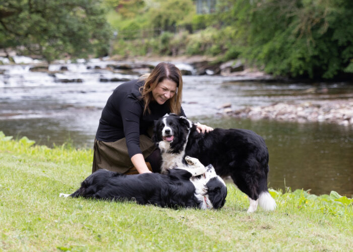 dogs-1 Dog friendly lodge holidays at Ruthven Falls, Scotland