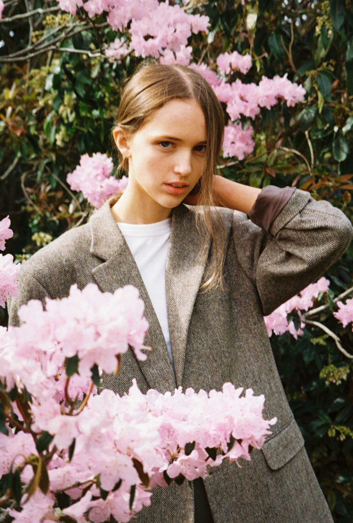 Isla Mackenzie