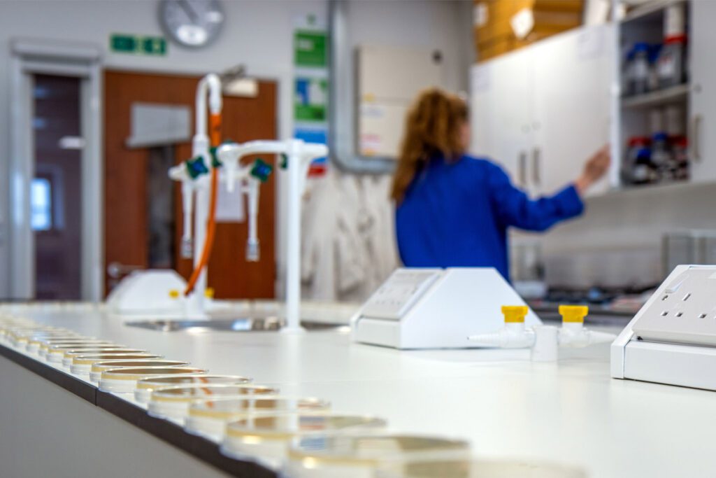 sample petrie dishes in science lab