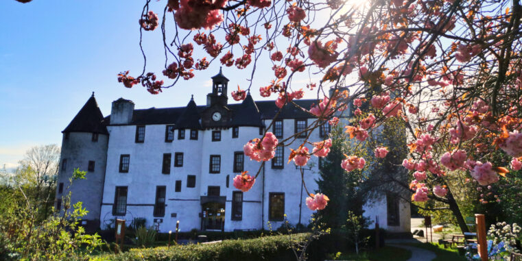 A photo of the front of Dudhope Castle, partially obscured by a blooming cherry blossom tree