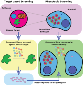 What is the drug discovery process? - WCAIR