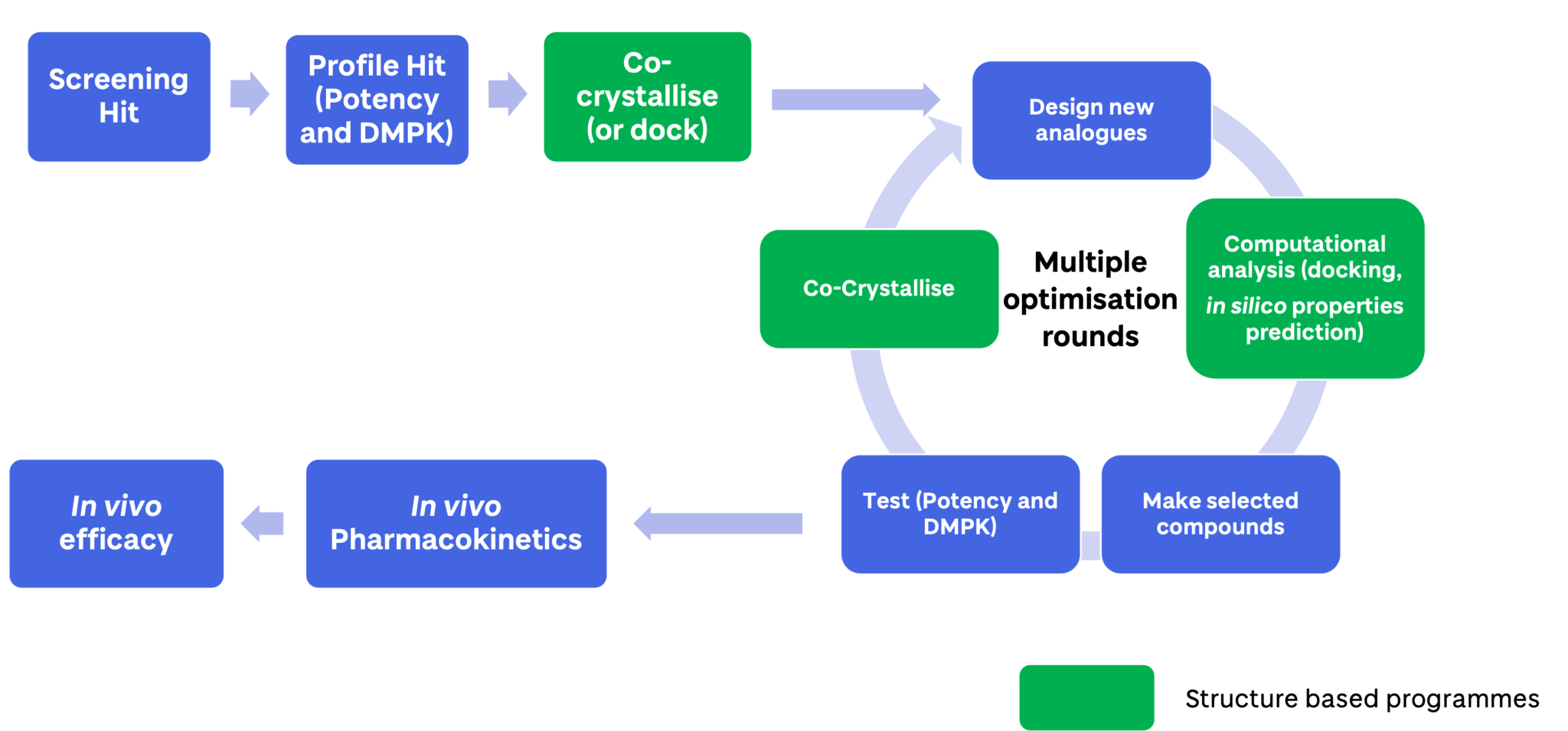 What is the drug discovery process? WCAIR