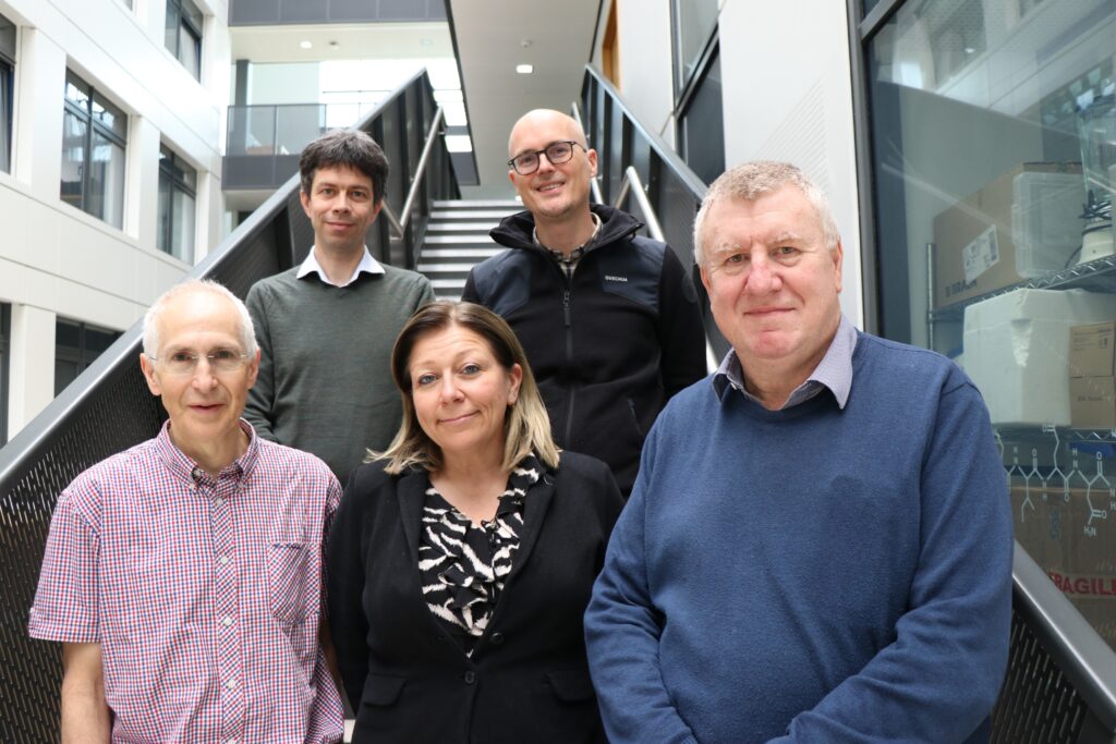 Photo shows 5 people (4 men and 1 women) standing on a staircase