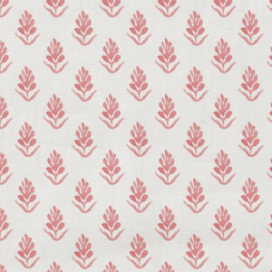 Sprigg - 04 Cornelia