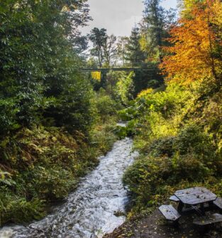 House of Dun woodland, Montrose