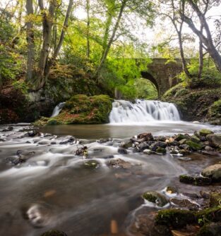 Arbirlot Falls, near Arbroath