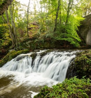 Arbirlot Falls, near Arbroath