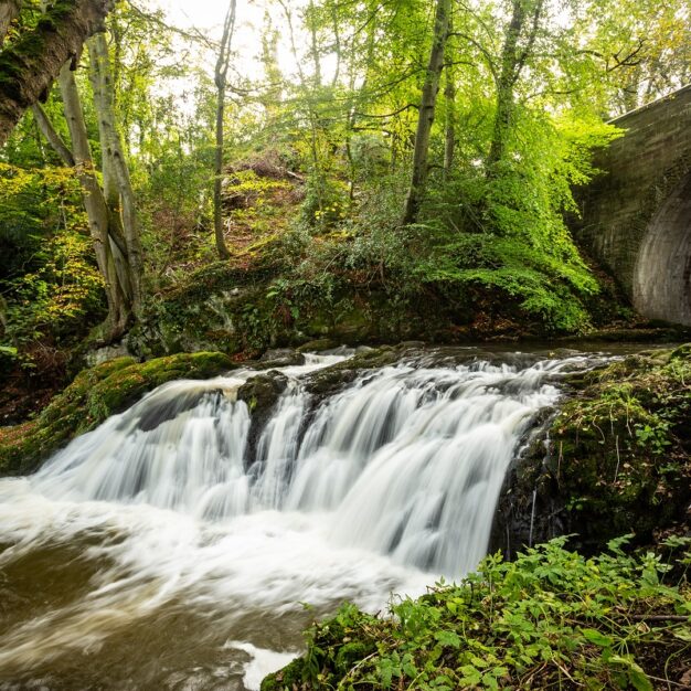 Arbirlot Falls, near Arbroath
