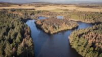 Crombie Country Park, near Monifieth