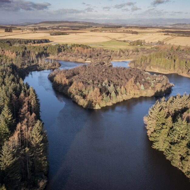 Crombie Country Park, near Monifieth