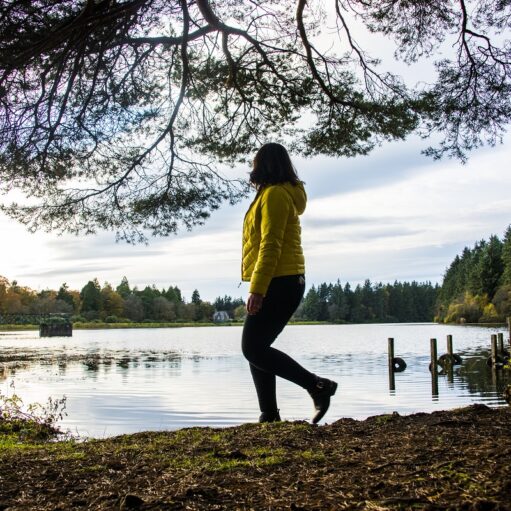 Crombie Country Park, near Monifieth
