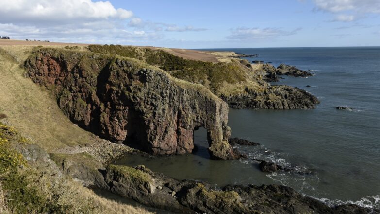 Elephant Rock, Montrose