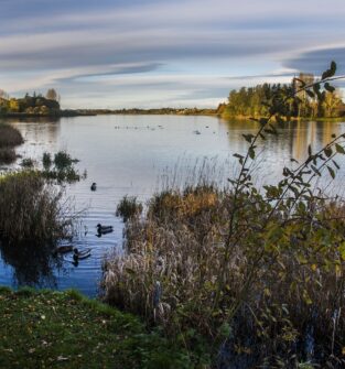 Forfar Loch Country Park