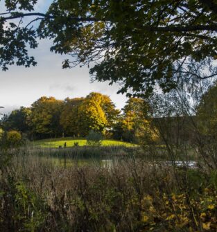 Forfar Loch Country Park