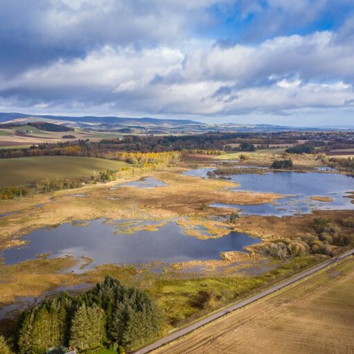 Loch of Kinnordy, Kirriemuir