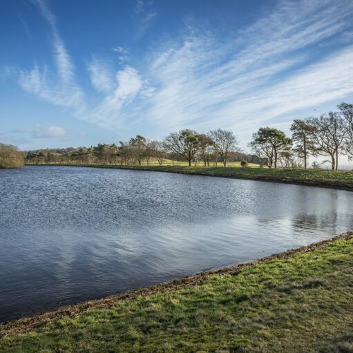 Monikie Country Park