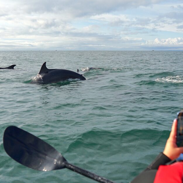 Arbroath Cliff Tours - kayaking, walking and swimming tours of the Arbroath cliffs