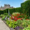 Glamis Castle gardens