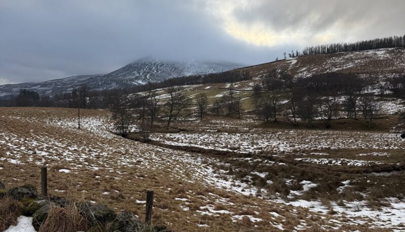 A vast, rolling hillside covered in brown grass and patches of white snow under a heavy, overcast sky. In the distance, a snow-dusted mountain peak is partially obscured by low-hanging grey clouds, with a line of dark trees marking the ridge.