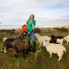Lunan Bay Farm – Scottish Cashmere Experience